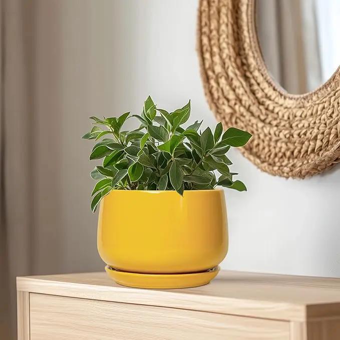 G EPGardening Ceramic Flower Pot - 9 Inch Plant Pots for Indoor Outdoor Plants, Round Ceramic Planter with Drainage and Plant Saucer, Modern Planter, Home Office Decor, Garden Gifts, Yellow by GreenHaven Gardens
