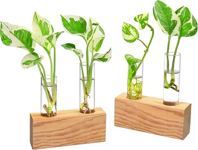 Ivolador Propagation Stations Double Test Tube Plants Terrariums in Wooden Stand Propagation Station for Hydroponic Plants Office Home Decoration by GreenHaven Gardens