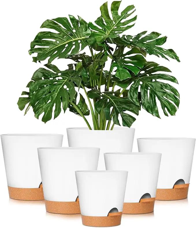 GARDIFE Plant Pots 8/7/6.5/6/5.5/5 Inch Self Watering Planters with Drainage Hole, Plastic Flower Pots, Nursery Planting Pot for All House Plants, African Violet, Flowers, and Cactus,White by GreenHaven Gardens