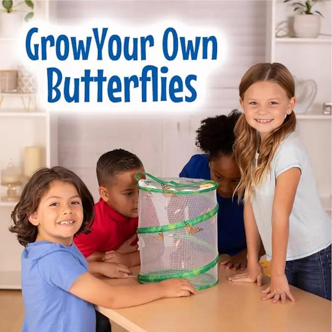 Insect Lore Butterfly Garden with Giant Birthday Card | 5 Live Baby Caterpillars | STEM Journal, Habitat, Chrys-A-Lid, Feeder | Raise and Release Painted Lady Butterflies by GreenHaven Gardens