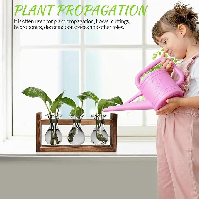 Plant Propagation Station Plant Terrarium Unique Birthday Gifts for Women Plant Lovers Home Office Decor Planter with Wooden Stand - 3 Bulb Glass Vase by GreenHaven Gardens
