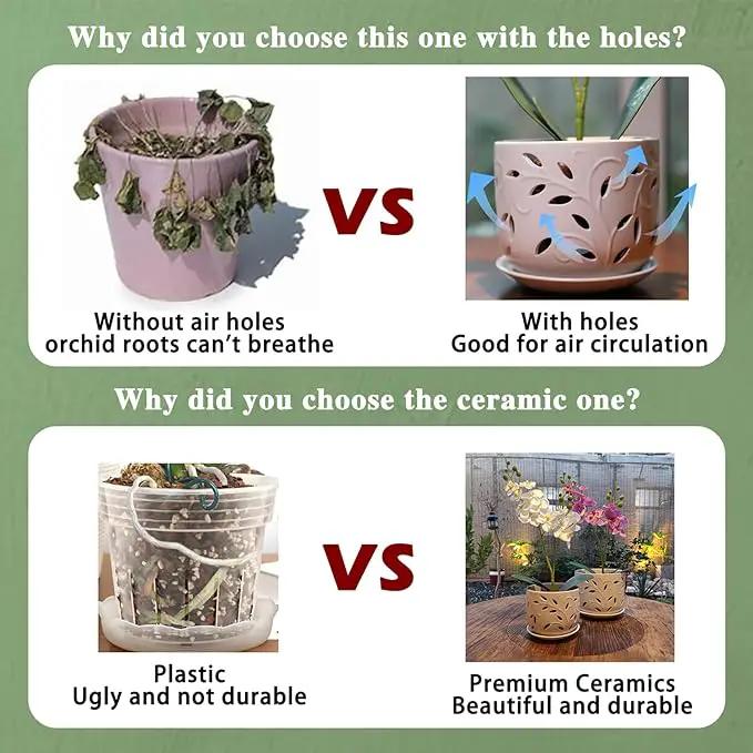 KERUITA Orchid Pots with Holes,6 inch + 5 inch Ceramic Planters Set of 2 with 2 Bottom Tray, Enhanced Drainage and Ventilation,White Flower Pots for Indoor/Outdoor Plants for Repotting by GreenHaven Gardens