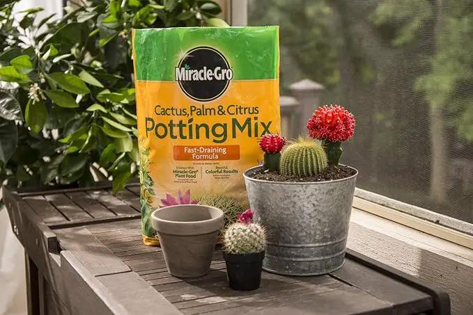 Miracle-Gro Cactus, Palm & Citrus Potting Mix, 8 qt. (3-Pack) by GreenHaven Gardens