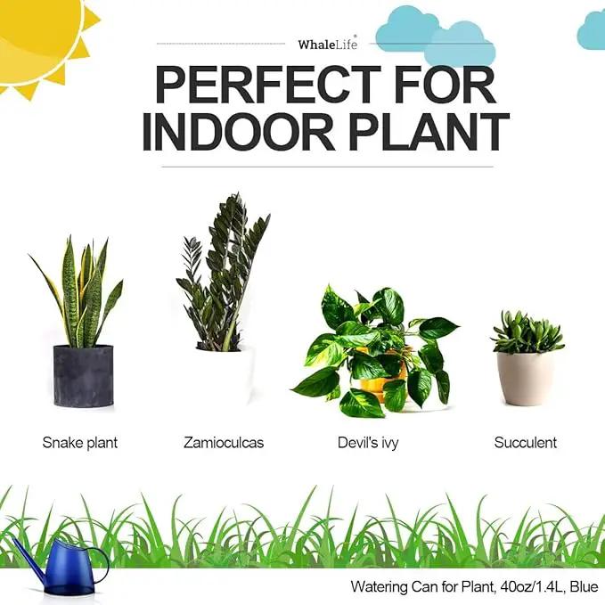 WhaleLife Indoor Watering Can for House Bonsai Plants (1.4L, Blue) by GreenHaven Gardens