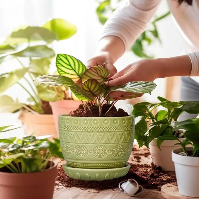G EPGardening Indoor Plant Pot 5.5 Inch - Ceramic Planter with Drainage Hole and Saucer, Round Boho Plant Pot for Indoor Plants, Plant Lover Gifts, Home Garden Office Decor, Green by GreenHaven Gardens