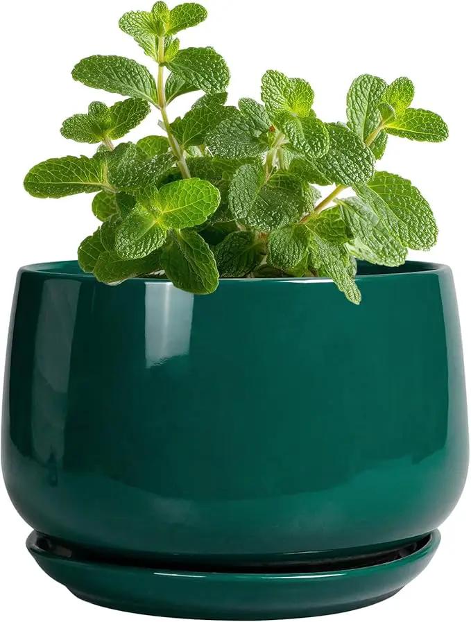 G EPGardening 4 inch Plant Pots - Small Ceramic Planter with Drainage Hole & Tray, Succulent Pots Indoor Outdoor, Round Modern Planter, Decorative Flower Pot, Desk Decor, Gifts for Plant Lover, Green by GreenHaven Gardens