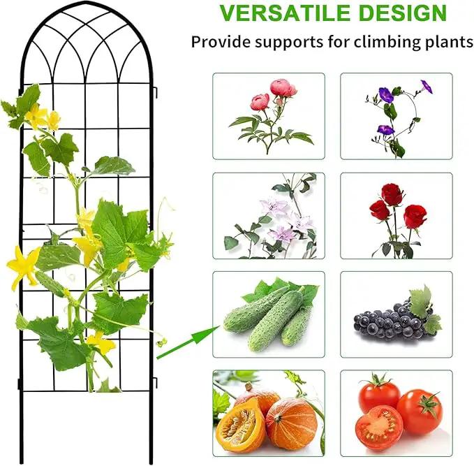 LZRS 4 Pack 71x20in Rustic Iron Arch Decoration Garden Trellis with Black Metal Coating – Perfect for Supporting Climbing Plants Outdoor, Roses, Vines, Flowers, and Vegetables. by GreenHaven Gardens