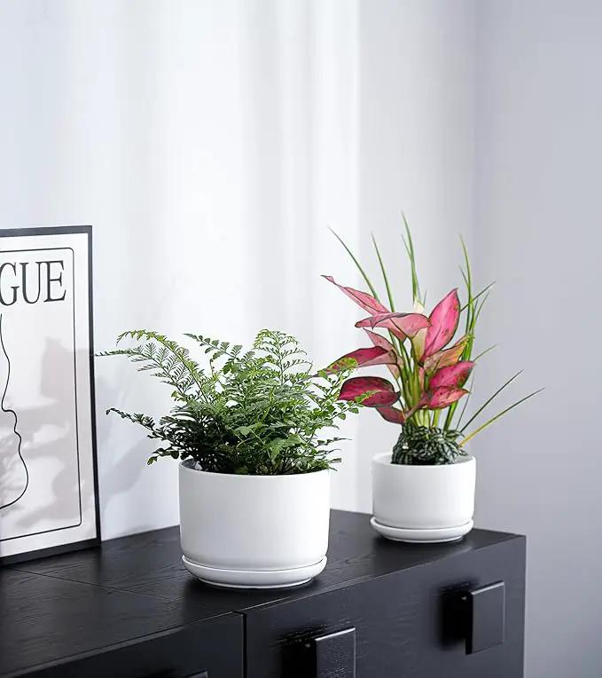 Ton Sin Plant Pots, 4.1+5.1+6.5 inch, Set of 3, Ceramic Planters with Drainage Hole and Saucer, Indoor Flower Pot with Hole Mesh Pad, Gifts for Mom（Matte Black） by GreenHaven Gardens