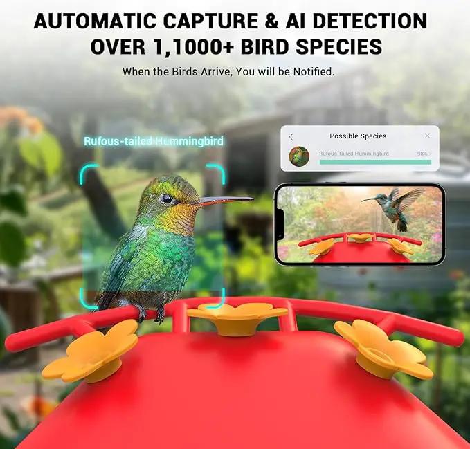 Hummingbird Feeder with Camera, AI Smart Identification Cloud Storage Function, Featuring Ant Moat Protection, Solar Power, Instant Notification, Automatic Bird Video Capture, and Motion Detection by GreenHaven Gardens