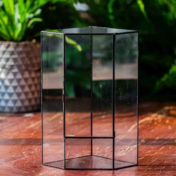 NCYP Wall Corner Geometric Glass Terrarium, Closed Front Opening Door Container Planter for Succulents, Small Plants - Black, Indoor Decor, Tabletop Landscape, 6.1" x 6.1" x 11.8" (Terrarium Only) by GreenHaven Gardens