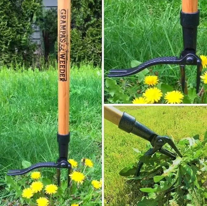Grampa's Weeder - The Original Stand Up Weed Puller Tool with Long Handle - Made with Real Bamboo & 4-Claw Steel Head Design - Easily Remove Weeds Without Bending, Pulling, or Kneeling. by GreenHaven Gardens
