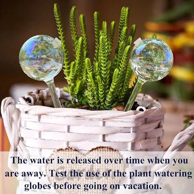 Clear Rainbow Glass Plant Automatic Watering Bulb, 4pcs Garden Flower Self Watering Planter Inserts, Automatic Plant Waterer System Set Self Watering Spikes to Support Plant Health by GreenHaven Gardens
