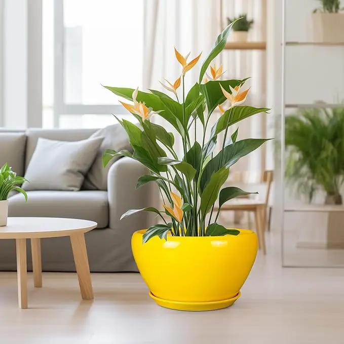 Ceramic Planter for Indoor Plants - 13 Inch Mid-Century Decorative Modern Large Plant Pot with Drainage Hole and Saucer, Home Balcony House Garden Patio Room Office Decor, Yellow by GreenHaven Gardens