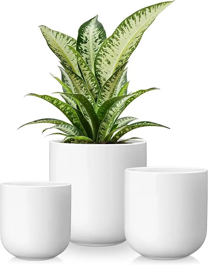 vancasso Ceramic Plant Pots, 4+5+6 inches, Set of 3, Planters with Drainage Hole, Flower Pots Planters Pots for Indoor Plants, Modern Indoor Decorative Garden Pot, Home Decor, White by GreenHaven Gardens