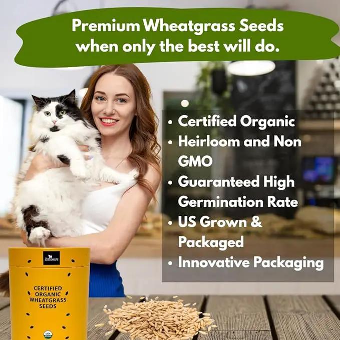 Certified Organic Wheatgrass Seeds – 12,500+ Non-GMO USDA Cat Grass Seeds in Food-Grade Container with Lid for Easy Scooping & Freshness by GreenHaven Gardens