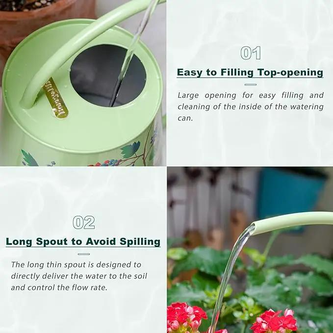 Berry&Bird House Plants Watering Can - Indoor & Outdoor 1/2 Gallon Stainless Steel Water Can with Long Spout Garden Decoration for Flower Bonsai Succulent Gardening Large Watwer Bottle(2L/Robin) by GreenHaven Gardens