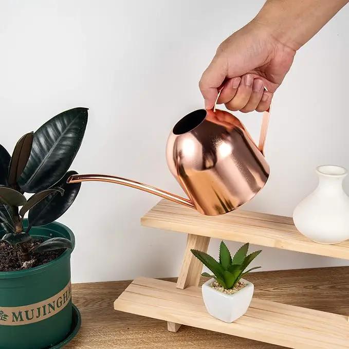 IMEEA Indoor Watering Can for House Plants 33oz/1L Stainless Steel Watering Can with Long Spout (Rose Gold) by GreenHaven Gardens
