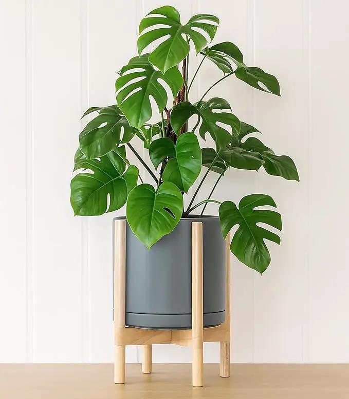 D'vine Dev Ceramic Planter with Natural Stand - 12 Inch Modern Round Flower Pot with Wood Planter Holder, Grey, 55-B-J-3 by GreenHaven Gardens