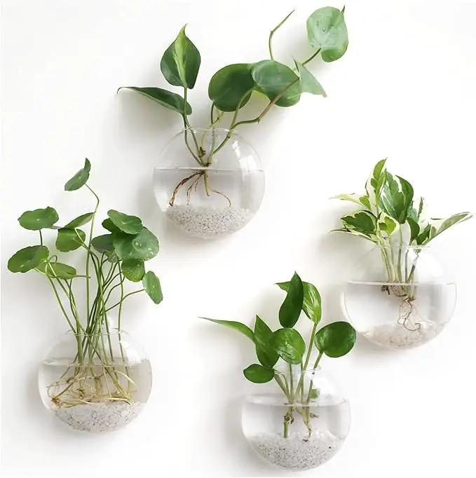 Mkono Wall Hanging Planter Propagation Station Glass Flower Vase for Hydroponics Plants, Bathroom, Home Office Living Room Decor Gift, Oblate Set of 4 by GreenHaven Gardens