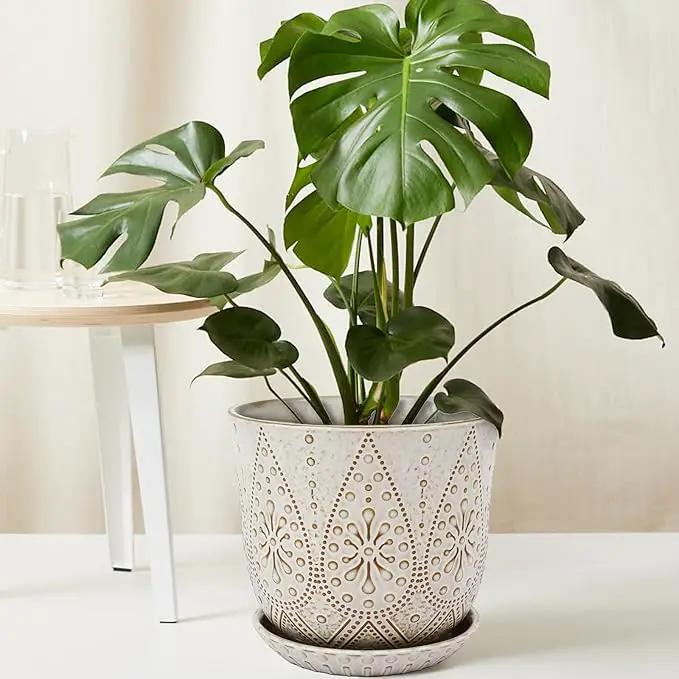 Gepege 10 Inch Plant Pot, Creamy White Ceramic Planter with Drainage Holes and Saucers for Plants Indoor and Outdoor Flower Pot by GreenHaven Gardens