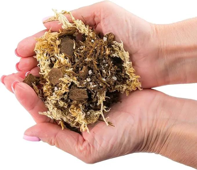 Premium Orchid Mix by GARDENERA | Fern + New Zealand Pine Bark + Sphagnum Moss + Perlite | Best for Growing and Repotting Orchids - 1 Quart Bag by GreenHaven Gardens