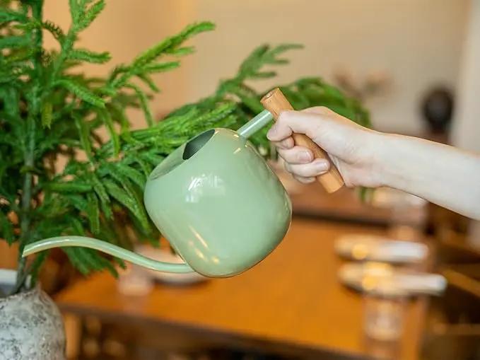Green Moon Watering Can Indoor Plants 1.2L/41oz Sage Green Water Can Indoor Metal Small Water Can Pot with Long Spout for House Bonsai Plants Garden Flower Decorative by GreenHaven Gardens