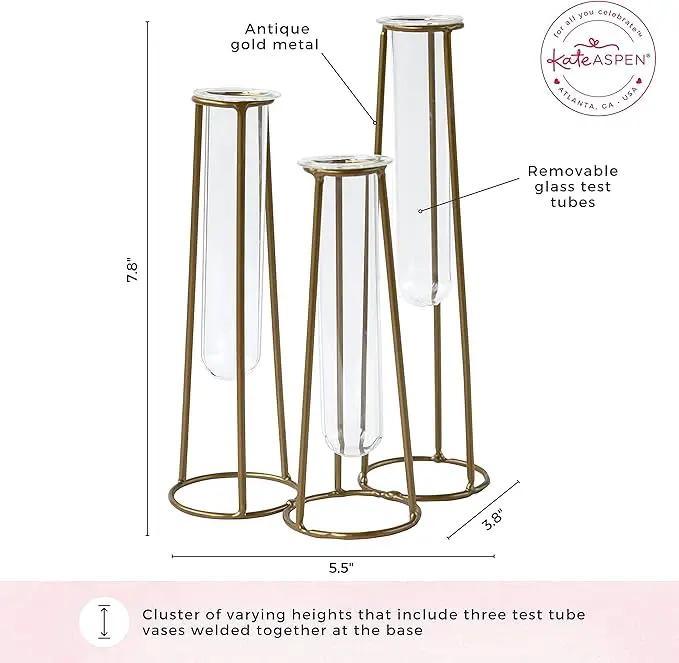 Propagation Station Terrariums with Gold Metal Stand - Kate Aspen 3 Glass Test Tube Planters for Indoor Plant, Air Plants, Plant Clippings, Cut Flowers, Herbs, Succulents | Home Decor Table Decoration by GreenHaven Gardens