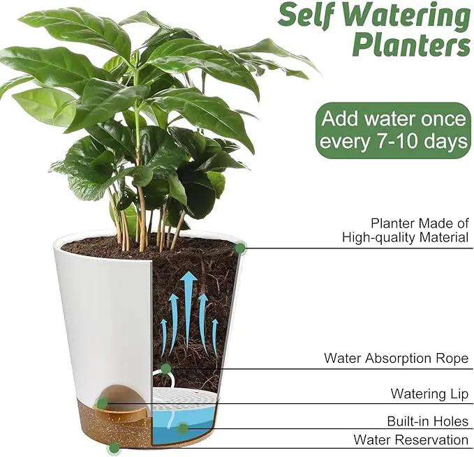Indoor Self Watering Planters with Drainage Holes and Saucers, 8, 7, 6.5, 6, 5.5, 5 Inches, White, 6 Pots by GreenHaven Gardens