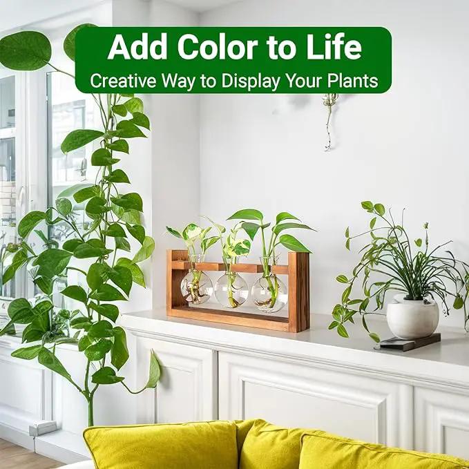 Plant Propagation Station,Plant Terrarium,Plant Starter,Gifts for Plant Lovers,Glass Bulb Terrarium with Retro Solid Wooden Stand for Hydroponics Plants Home Garden Wedding Décor (3 Bulbs) by GreenHaven Gardens