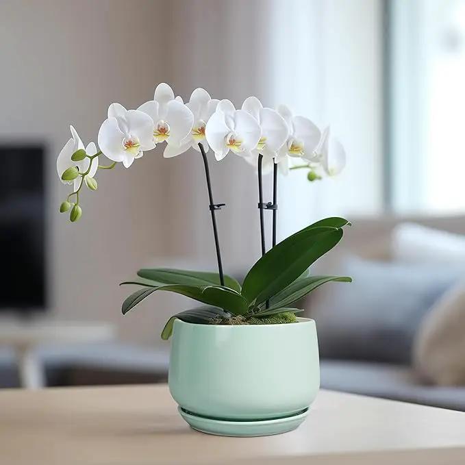 G EPGardening Ceramic Plant Pots - 6 Inch Pot for Plants, Ceramic Planter with Drainage and Saucer, Flower Indoor Outdoor Planter, Modern Bathroom Decor, Birthday Gifts, Green by GreenHaven Gardens