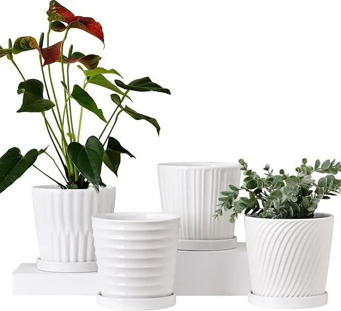 Ton Sin Plant Pots,White 6 Inch Flower Pots for Plants,Ceramic Planter with Drainage Holes,Indoor Planter Pots with Saucer,Outdoor Garden Pots (White, 4 Pack) by GreenHaven Gardens