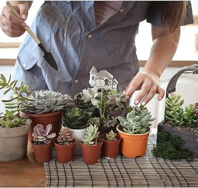 Wishlotus Mini Gardening Tools, 3Pcs Gardening Hand Tools with Non-Slip Handles, Portable Tools Set for Indoor Gardening, Succulents, Bonsai, Gift for Wife and Mother（Thin） by GreenHaven Gardens