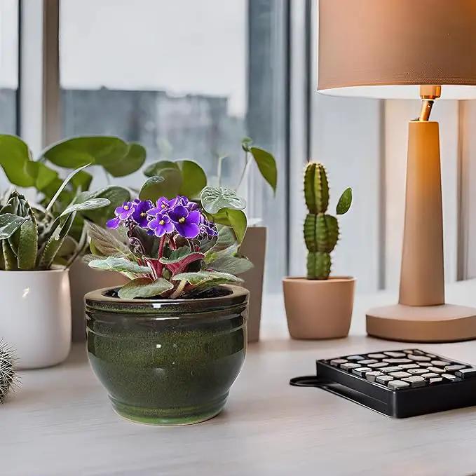 African Violet Pots Self Watering Round Ceramic Violet Pot (Olive drab, 6 inch) by GreenHaven Gardens