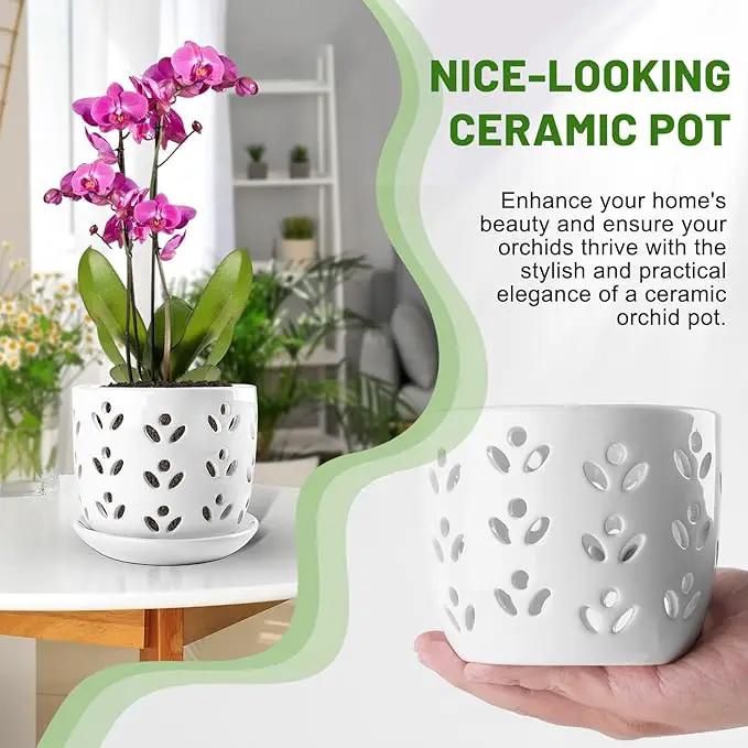REMIAWY Orchid Pot, 2 Pack Orchid Pots with Drainage Holes and Saucer, 6 Inch and 5 Inch Large Ceramic Planter for Repotting Indoor Plants, Succulent, Decorative, Good Air Circulation, White by GreenHaven Gardens