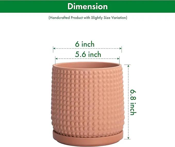 D'vine Dev 6 Inch Terracotta Beaded Planter Pot - Flower Pot with Drainage Hole and Saucer for Indoor Succulent Plants or Flowers, Terracotta, 27-C-X-7 by GreenHaven Gardens