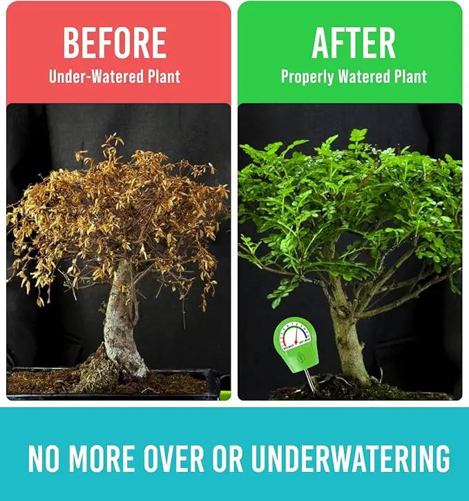 GROWIT Soil Moisture Meter for Plants - Plant Moisture Meter for House Plants - No Batteries Required by GreenHaven Gardens