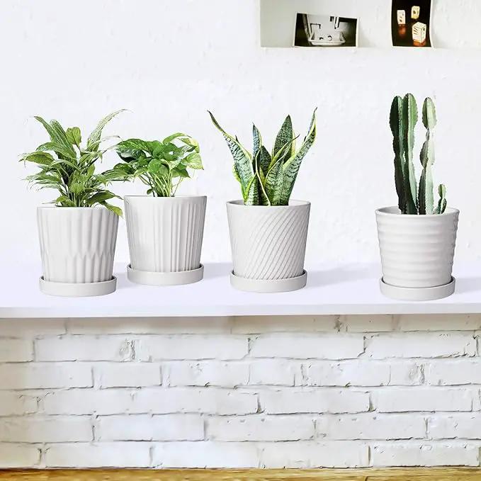 Brajttt Flower Pots,6 Inch Succulent Pots with Drinage,Indoor Round Planter Pots with Saucer,White Cactus Planters with Hole,Outdoor Graden Pots 4 Pack by GreenHaven Gardens