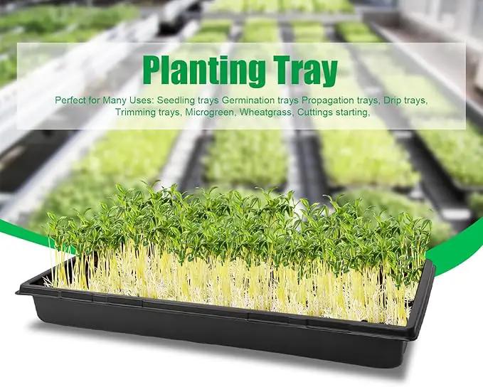 Plant Growing Nursery, Standard 1020 Trays Plastic Sturdy Farmer Self Seedling Tray for Microgreens Indoor Nursery Pots Transplantation (5-Pack, 21.6"×11.2", 2.52" Deep, no Holes) by GreenHaven Gardens