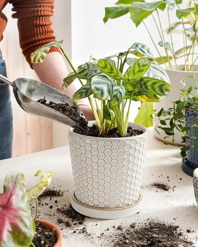 LE TAUCI Ceramic Plant Pots, 5.4 Inch Pots for Indoor Plants, Planters with Drainage Hole and Saucer, Flower Pots for Succulent, Snake Plants and Cactus, Set of 2, Reactive Glaze White by GreenHaven Gardens