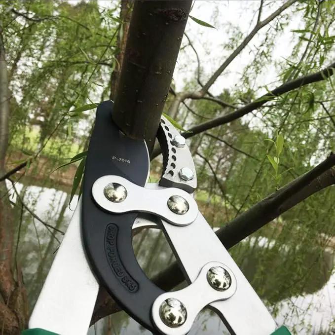 SK5 High-Performance Compound Action Anvil Lopper,Chops Thick Branches with Ease,2 Inch Cutting Capacity,28inch-40inch Telescoping Lopper, Tree Trimmer with Sturdy&Comfortable Handle by GreenHaven Gardens