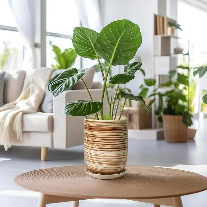 8 Inch Plant Pot, Ceramic Planter for Outdoor Plants, Large Plant Pot Indoor with Drainage Hole and Saucer, Modern Flower Pot for Home Garden Decor Yellow by GreenHaven Gardens