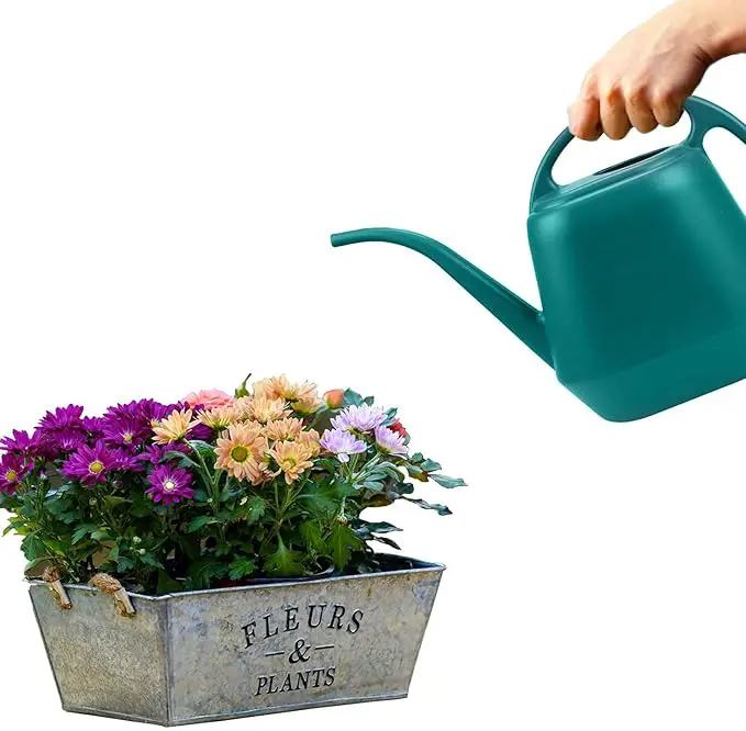 Fasmov Plastic Watering Can, 1-Gallon, Green by GreenHaven Gardens