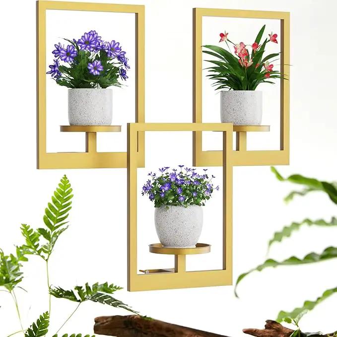 Picture Frame Wall Plant Holder, Metal Window Plant Shelves Plant Holder for Indoor Plants, Hanging Wall Planters Wall-Mounted Plant for Home, Office, and Garden (Gold, 3PCS) by GreenHaven Gardens