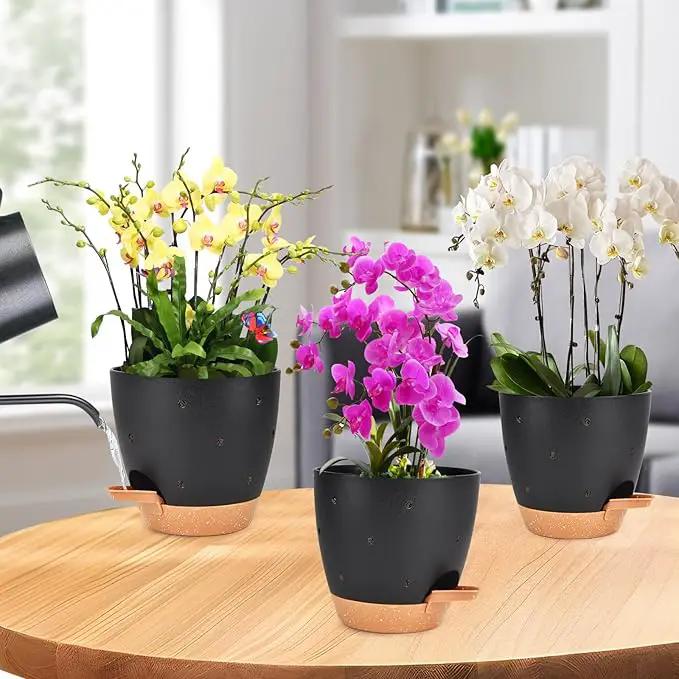 6 Inch Orchid Pots with Holes, 2 Pack Self Watering Planters for Orchids Plastic Orchid Pot Plant Flower Pots for Orchids Indoor Outdoor (Black with Brown) by GreenHaven Gardens
