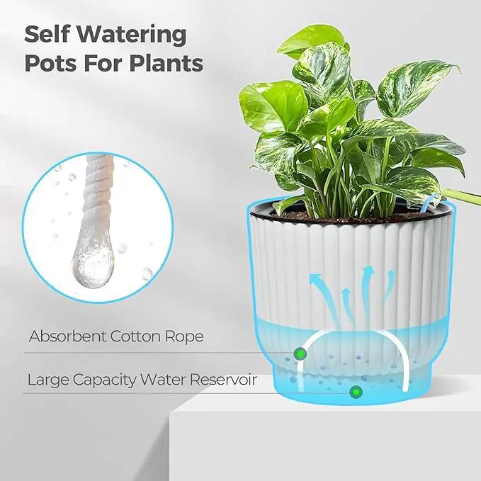 T4U 4.5 Inch Self Watering Pots for Indoor Plants, 6 Pack White Plastic Flower Pots for All House Plants, Flowers, African Violets by GreenHaven Gardens
