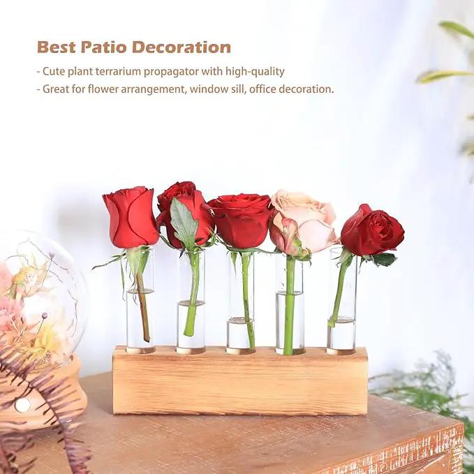 KAXYEW Plant Propagation Station, Plants Propagation Tubes, Gifts for Plant Lovers, Plants Cutting Holder Test Tube Vase Office Desk Garden Décor Gift for Her Mom Women Hydroponic Vase Gift Box by GreenHaven Gardens