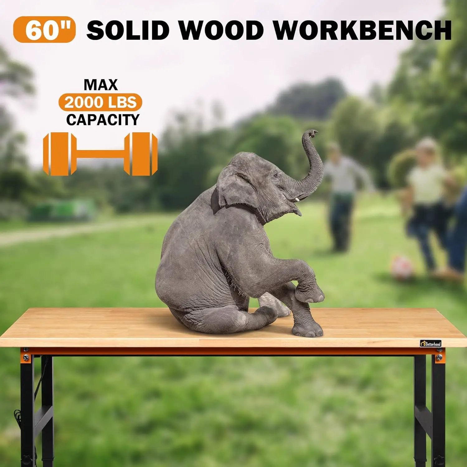 Adjustable Height Workbench, 60" Rubber Wood Top Heavy Duty Workstation with Power Outlets, 2000 LBS Load Capacity Hardwood Worktable for Workshop, Garage, Office, Home, Commercial by GreenHaven Gardens