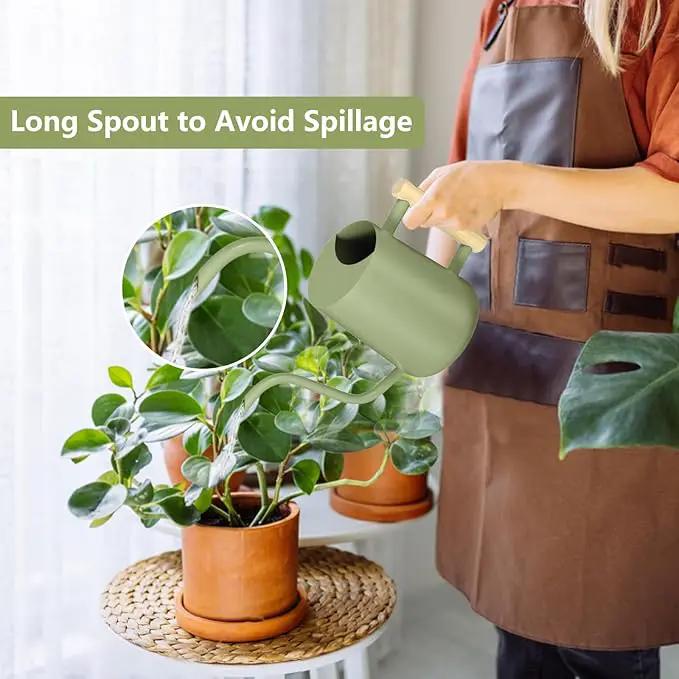 Watering Can Indoor Plants, 35oz Small Watering Can Indoor Stainless Steel Metal Watering Can Modern Decorative Watering Pot with Long Spout for Indoor House Plant Bonsai Garden Flowers (Sage Green) by GreenHaven Gardens