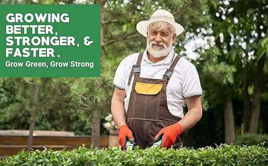 6-6-6 All-Purpose Professional Plant Food Fertilizer; Ideal for Winter Care & Spring Feeding, Perfect Balanced NPK for Indoor and Outdoor Plants (1 Quart) by GreenHaven Gardens