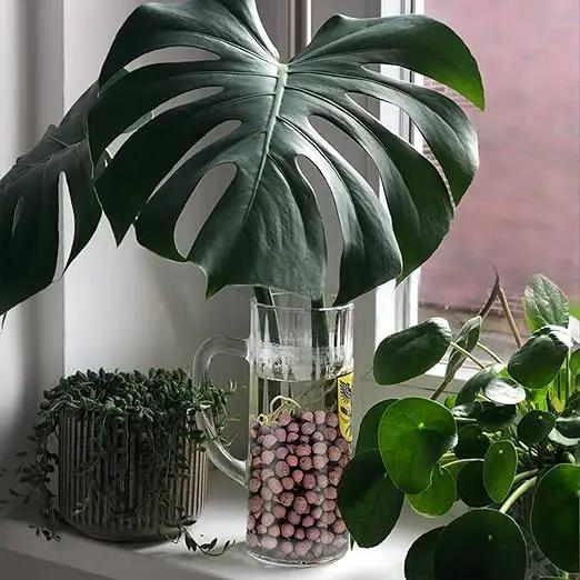 5LB Leca Clay Pebbles for Plants, Expanded Leca Balls for Indoor Plants, Orchid Potting Mix, Soil Amendment, Drainage, Easy Reusability, 4-16mm by GreenHaven Gardens